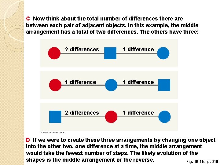 C Now think about the total number of differences there are between each pair