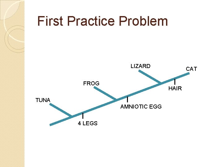 First Practice Problem LIZARD FROG HAIR TUNA AMNIOTIC EGG 4 LEGS CAT 