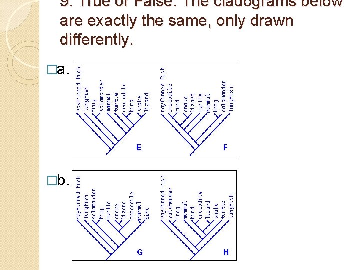 9. True or False. The cladograms below are exactly the same, only drawn differently.