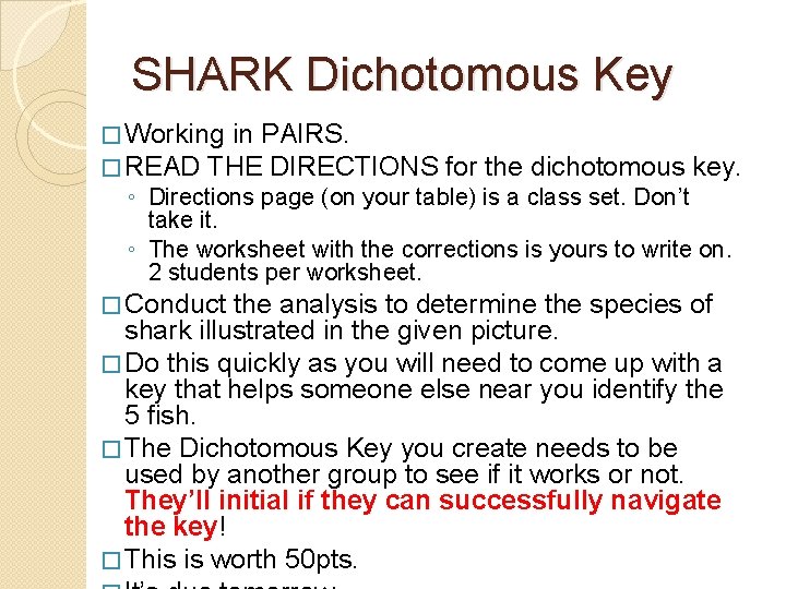 SHARK Dichotomous Key � Working in PAIRS. � READ THE DIRECTIONS for the dichotomous