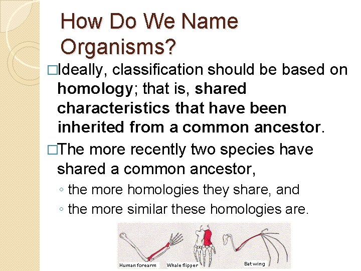 How Do We Name Organisms? �Ideally, classification should be based on homology; that is,