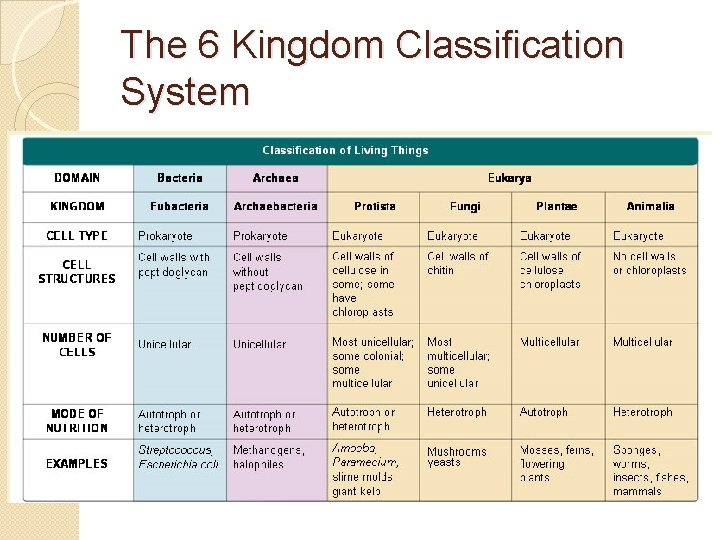 The 6 Kingdom Classification System 