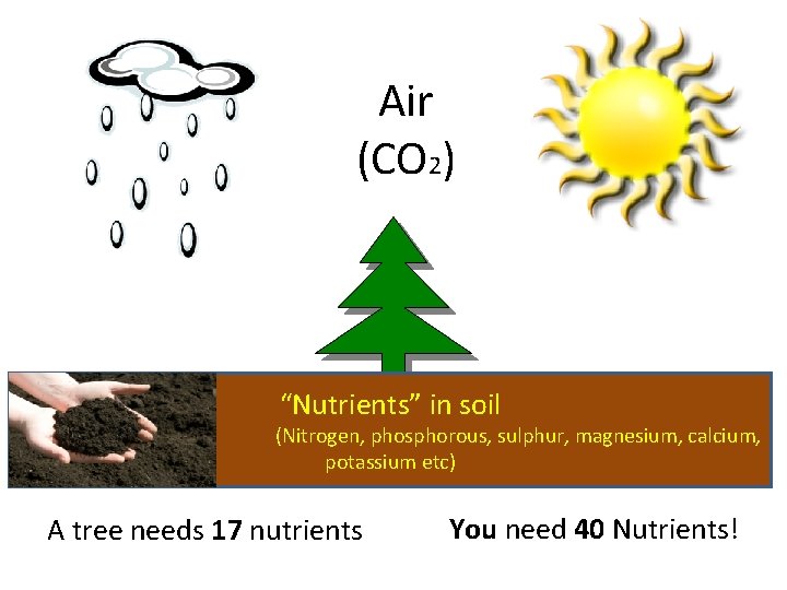 Air (CO 2) “Nutrients” in soil (Nitrogen, phosphorous, sulphur, magnesium, calcium, potassium etc) A