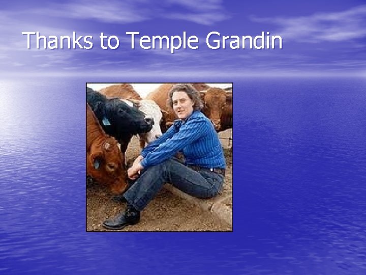 Thanks to Temple Grandin 