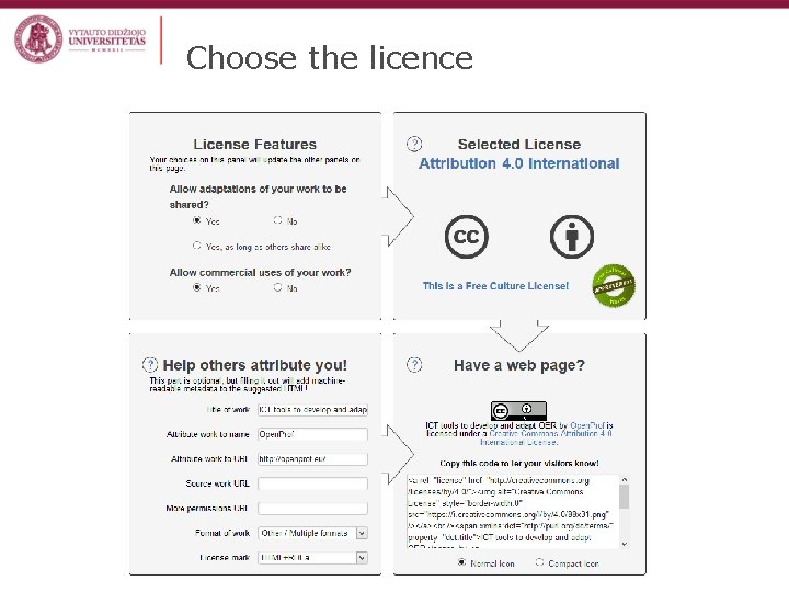 Choose the licence 
