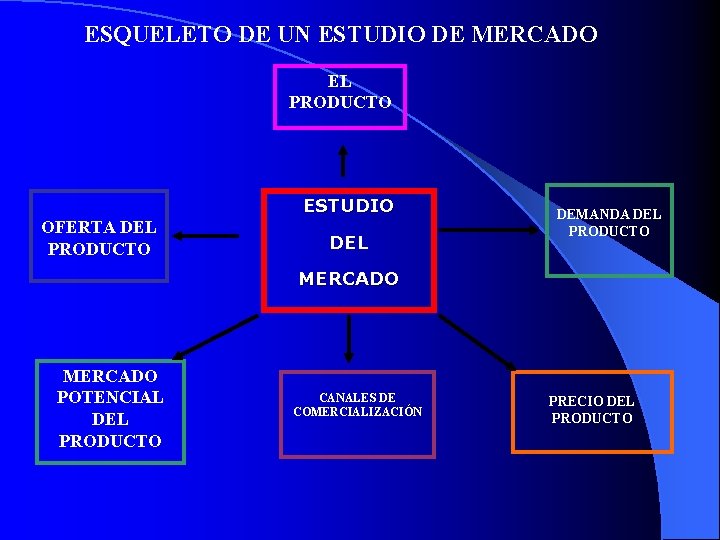 ESQUELETO DE UN ESTUDIO DE MERCADO EL PRODUCTO ESTUDIO OFERTA DEL PRODUCTO DEL DEMANDA