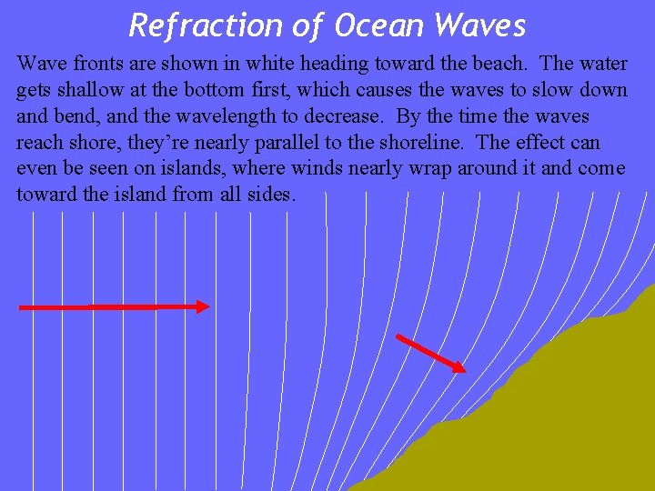 Refraction of Ocean Waves Wave fronts are shown in white heading toward the beach.