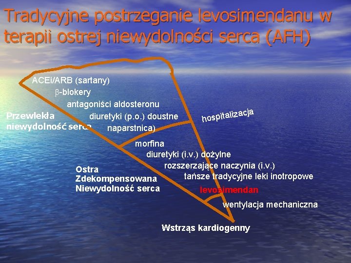 Tradycyjne postrzeganie levosimendanu w terapii ostrej niewydolności serca (AFH) ACEi/ARB (sartany) b-blokery antagoniści aldosteronu