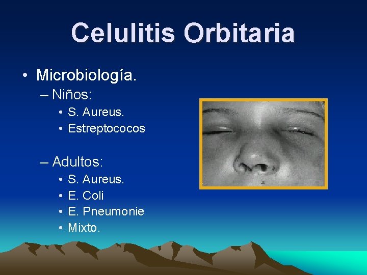 Celulitis Orbitaria • Microbiología. – Niños: • S. Aureus. • Estreptococos – Adultos: • Celulitis Orbitaria • Microbiología. – Niños: • S. Aureus. • Estreptococos – Adultos: •