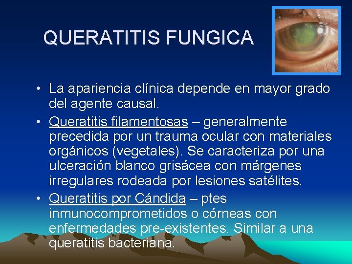 QUERATITIS FUNGICA • La apariencia clínica depende en mayor grado del agente causal. • QUERATITIS FUNGICA • La apariencia clínica depende en mayor grado del agente causal. •