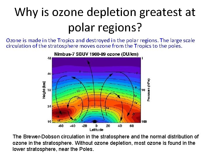 Why is ozone depletion greatest at polar regions? Ozone is made in the Tropics