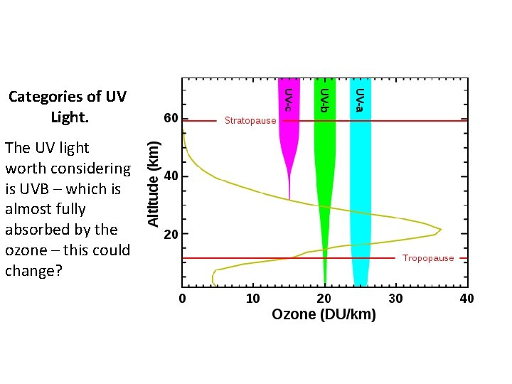 Categories of UV Light. The UV light worth considering is UVB – which is