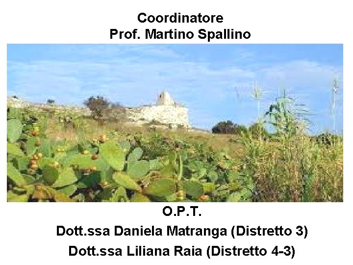 Coordinatore Prof. Martino Spallino O. P. T. Dott. ssa Daniela Matranga (Distretto 3) Dott.