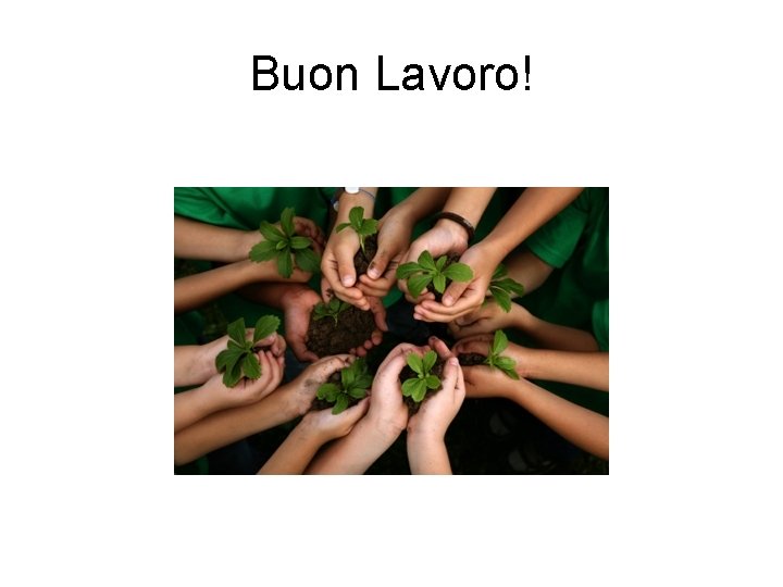 Buon Lavoro! 