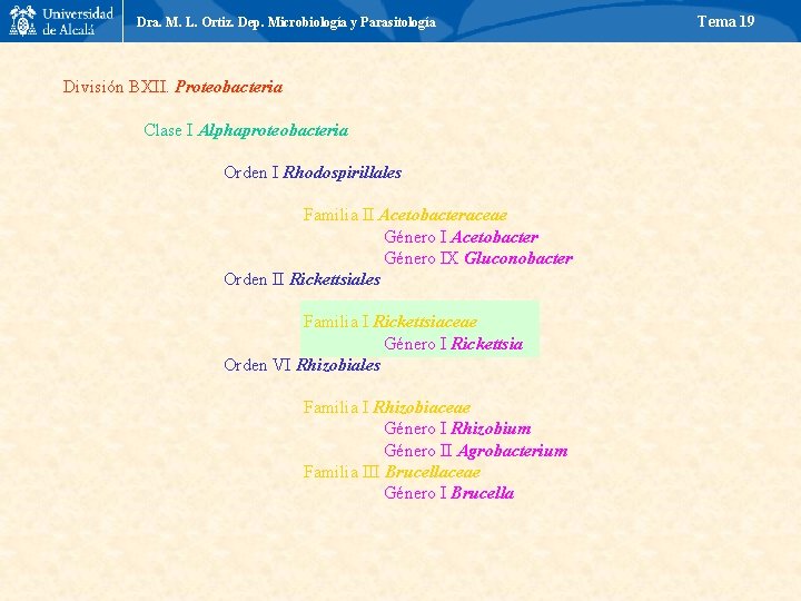 Dra. M. L. Ortiz. Dep. Microbiología y Parasitología División BXII. Proteobacteria Clase I Alphaproteobacteria