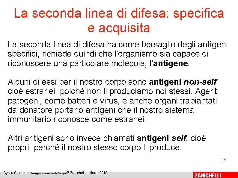 La seconda linea di difesa: specifica e acquisita La seconda linea di difesa ha