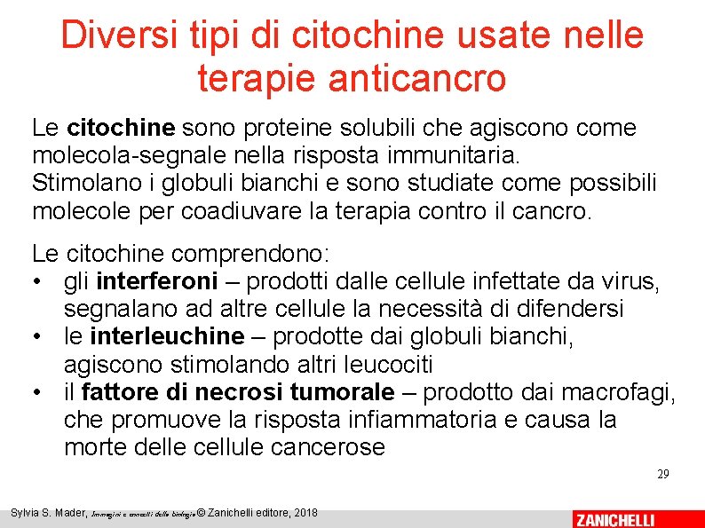 Diversi tipi di citochine usate nelle terapie anticancro Le citochine sono proteine solubili che