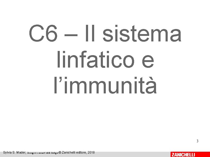C 6 – Il sistema linfatico e l’immunità 3 Sylvia S. Mader, Immagini e