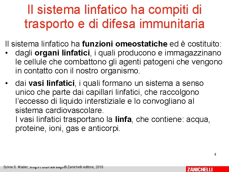 Il sistema linfatico ha compiti di trasporto e di difesa immunitaria Il sistema linfatico