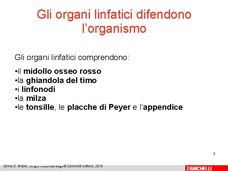 Gli organi linfatici difendono l’organismo Gli organi linfatici comprendono: • il midollo osseo rosso