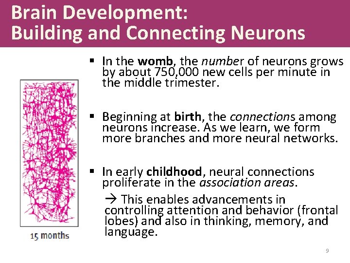 Chapter 5 Developing Through the Life Span Power