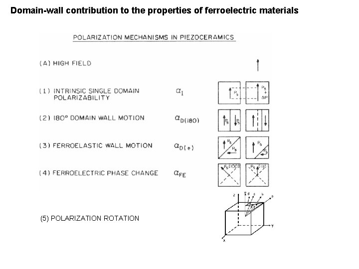 Domain-wall contribution to the properties of ferroelectric materials (5) POLARIZATION ROTATION 