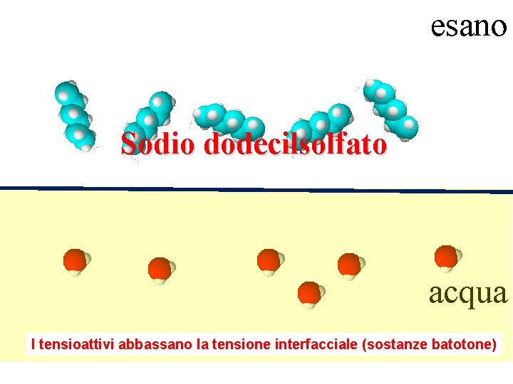 esano Sodio dodecilsolfato acqua I tensioattivi abbassano la tensione interfacciale (sostanze batotone) 