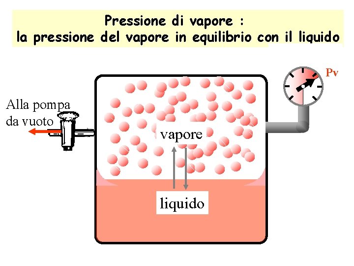 Pressione di vapore : la pressione del vapore in equilibrio con il liquido P=0