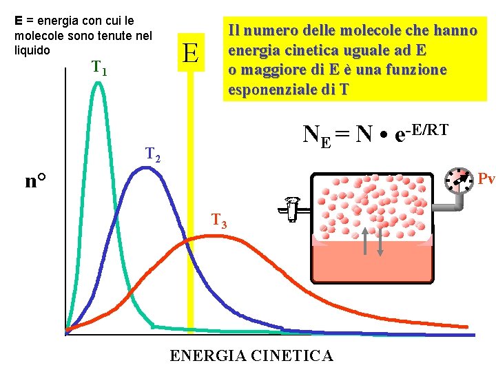 E = energia con cui le molecole sono tenute nel liquido T 1 Il