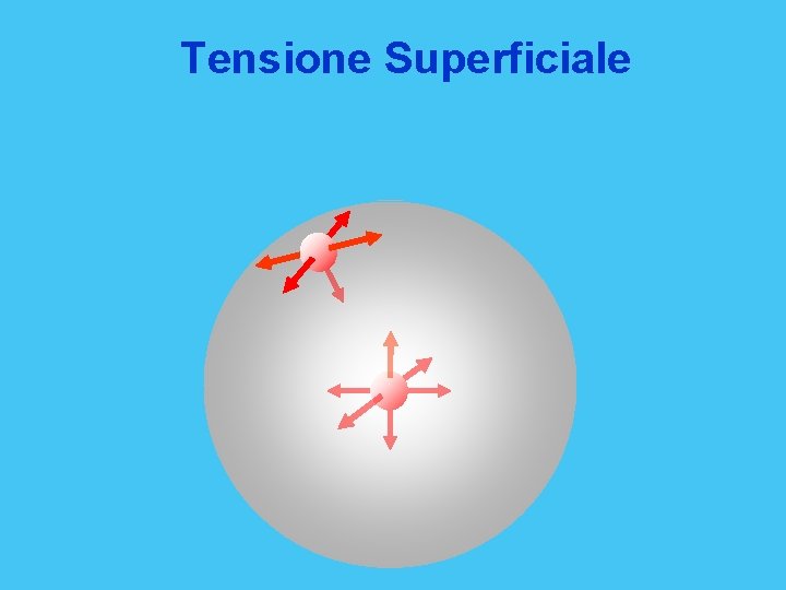 Tensione Superficiale 