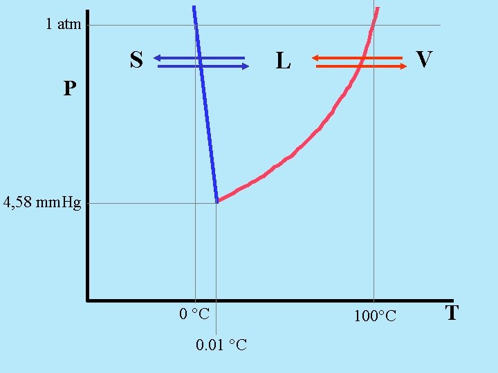 1 atm S V L P 4, 58 mm. Hg 0 °C 0. 01