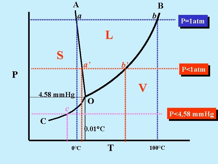 A a B b P=1 atm L S a’ P 4. 58 mm. Hg