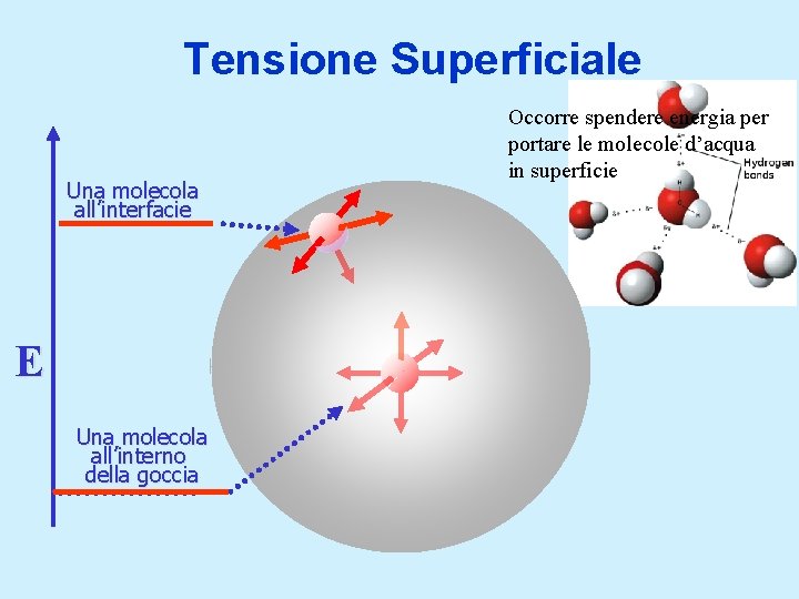 Tensione Superficiale Una molecola all’interfacie E Una molecola all’interno della goccia Occorre spendere energia