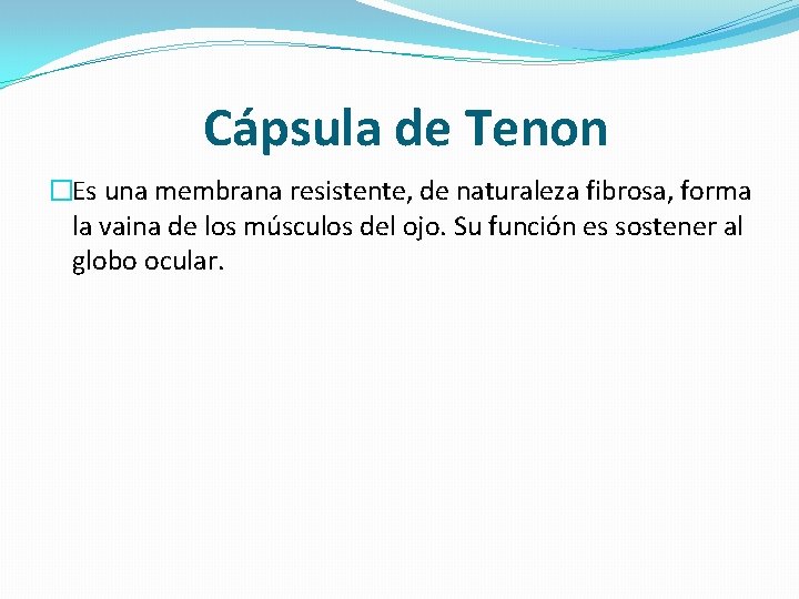 Cápsula de Tenon �Es una membrana resistente, de naturaleza fibrosa, forma la vaina de