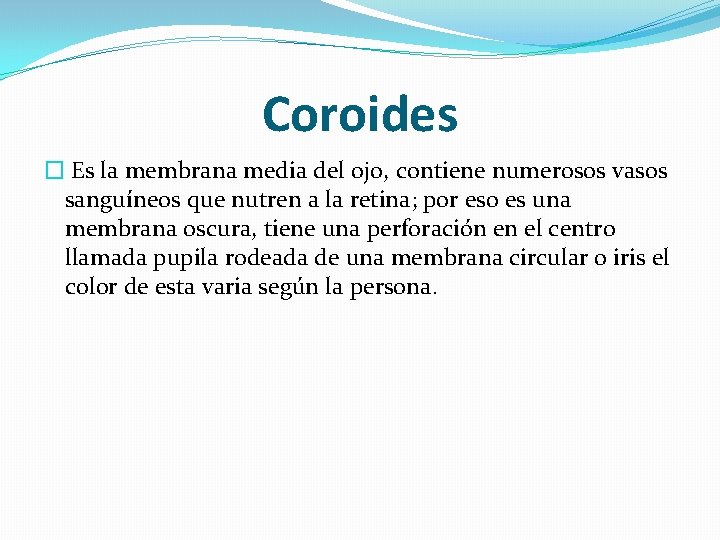 Coroides � Es la membrana media del ojo, contiene numerosos vasos sanguíneos que nutren