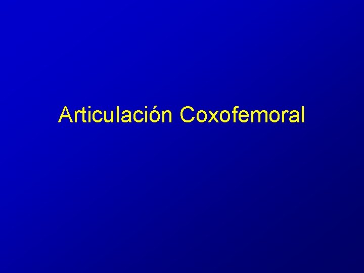 Articulación Coxofemoral 