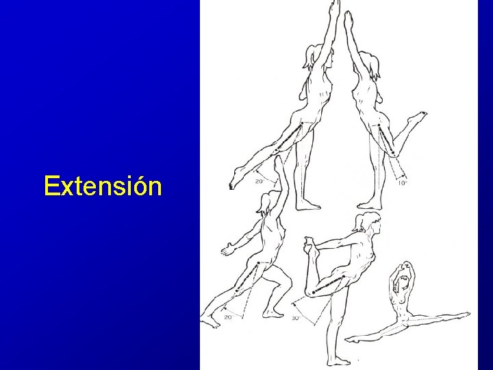 Extensión Extensión