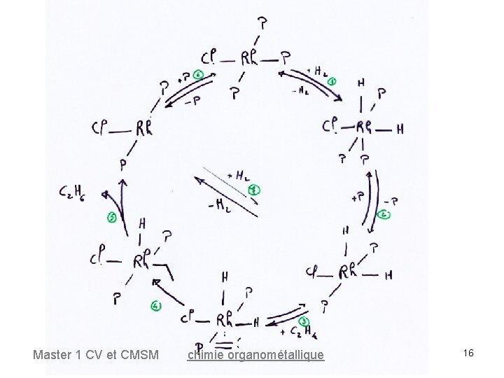 Master 1 CV et CMSM chimie organométallique 16 