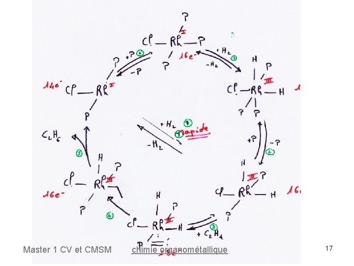 Master 1 CV et CMSM chimie organométallique 17 