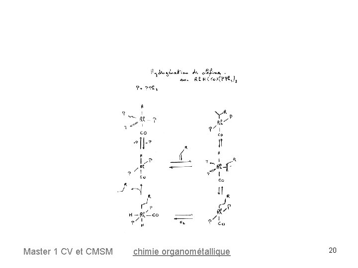 Master 1 CV et CMSM chimie organométallique 20 