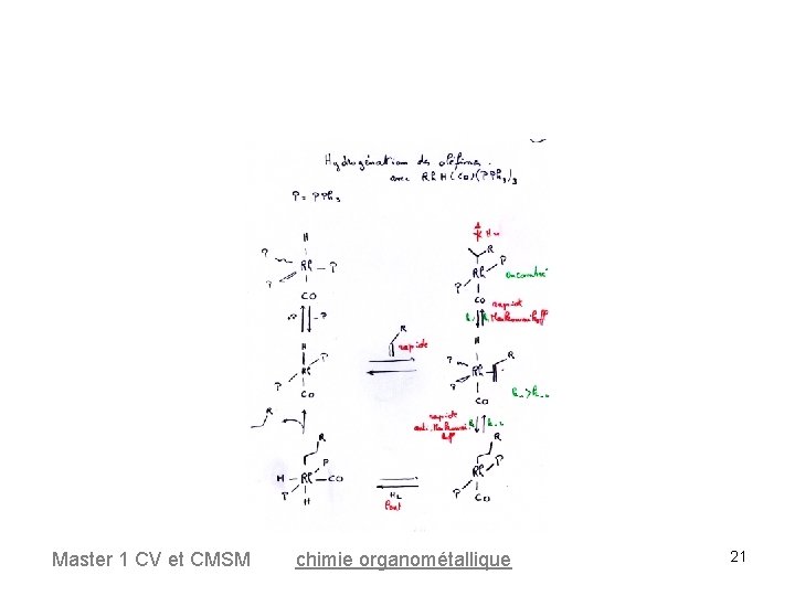 Master 1 CV et CMSM chimie organométallique 21 