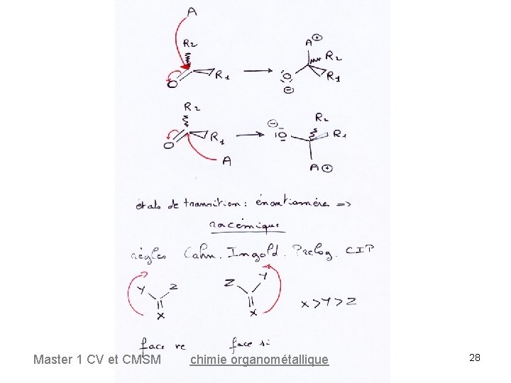 Master 1 CV et CMSM chimie organométallique 28 