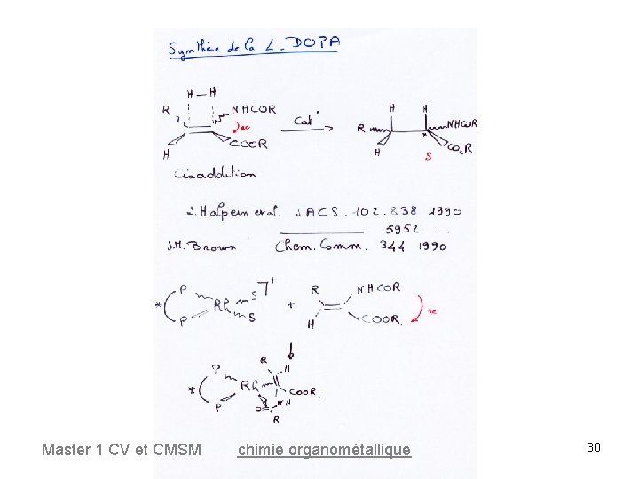 Master 1 CV et CMSM chimie organométallique 30 