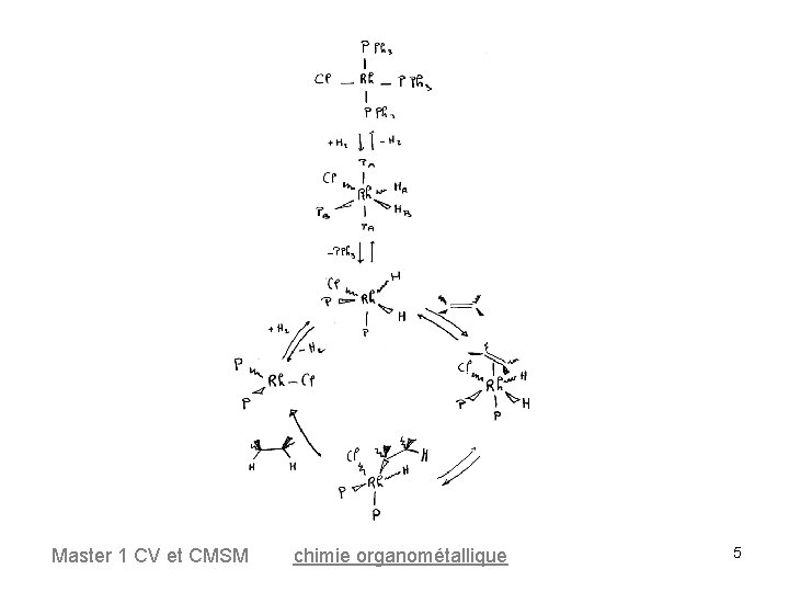 Master 1 CV et CMSM chimie organométallique 5 