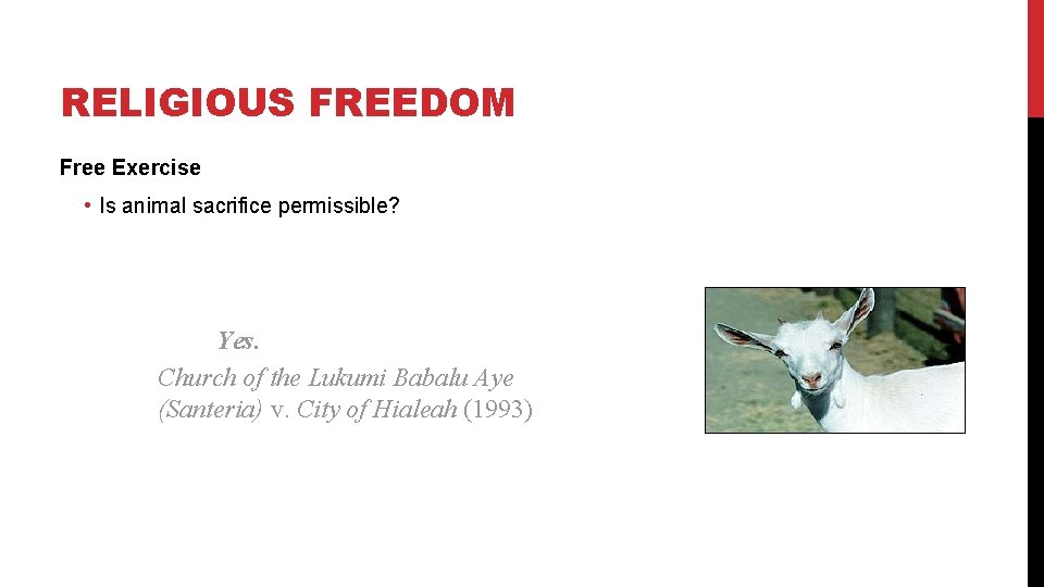 RELIGIOUS FREEDOM Free Exercise • Is animal sacrifice permissible? Yes. Church of the Lukumi