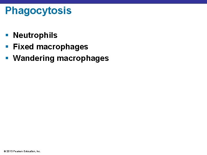 Phagocytosis § Neutrophils § Fixed macrophages § Wandering macrophages © 2013 Pearson Education, Inc.