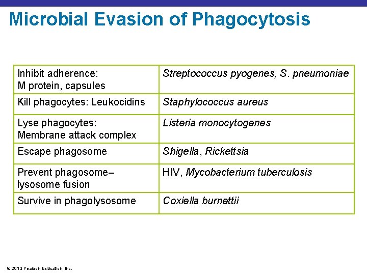 Microbial Evasion of Phagocytosis Inhibit adherence: M protein, capsules Streptococcus pyogenes, S. pneumoniae Kill