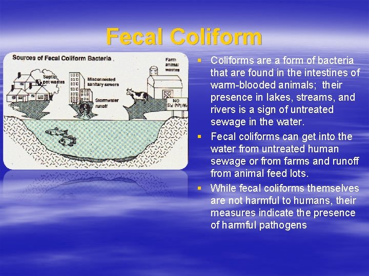 Fecal Coliform § Coliforms are a form of bacteria that are found in the