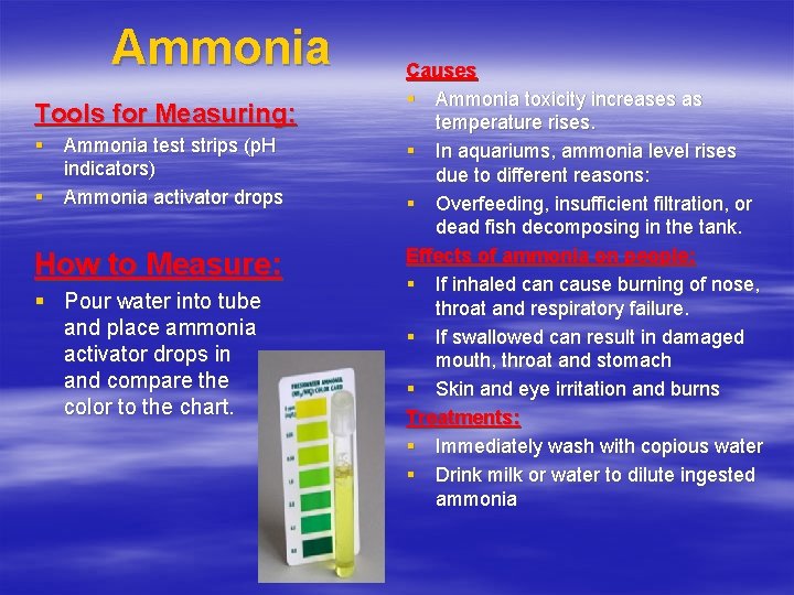 Ammonia Tools for Measuring: § Ammonia test strips (p. H indicators) § Ammonia activator