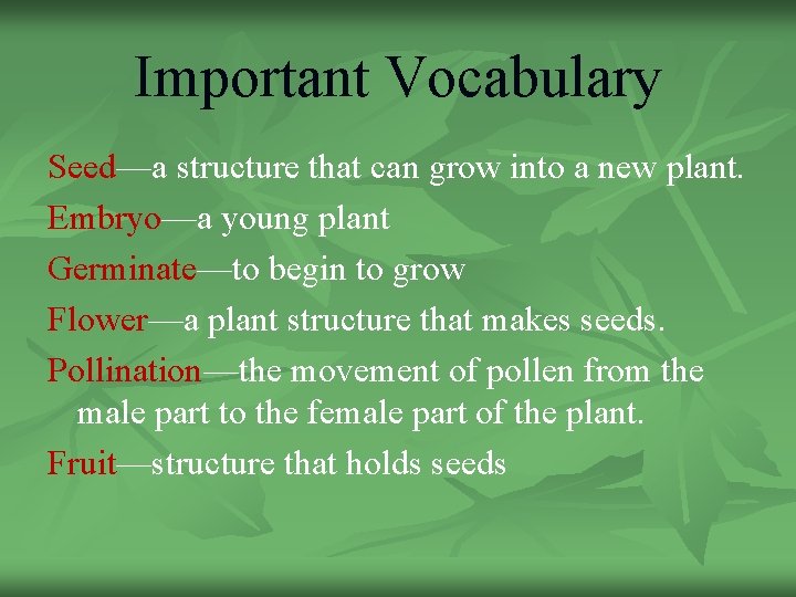 Important Vocabulary Seed—a structure that can grow into a new plant. Embryo—a young plant